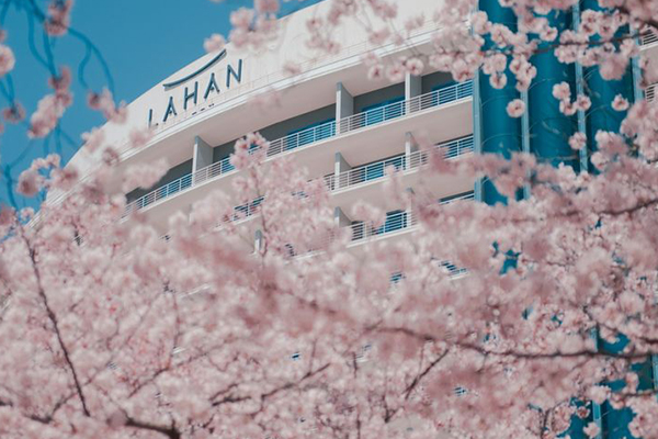 [웹투어] 꽃길따라 봄격여행