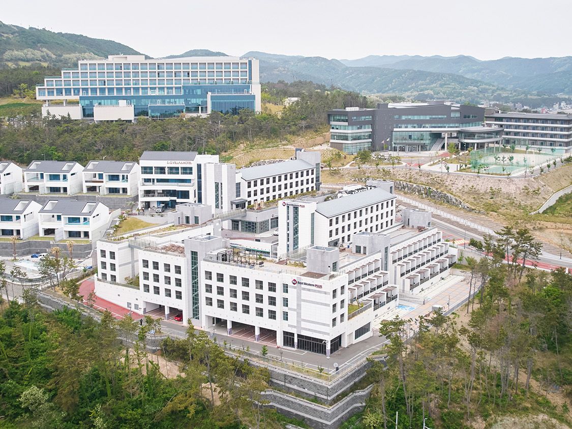 베스트.jpg