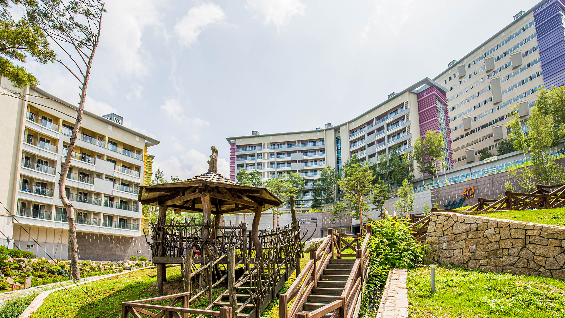 하이원리조트 힐 콘도.jpg