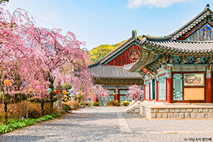 천안 각원사.png