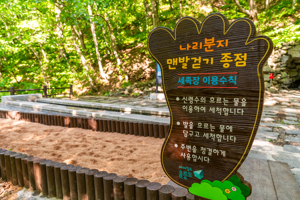 울릉도 패키지.jpg