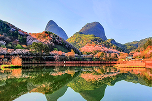 진안 마이산.png