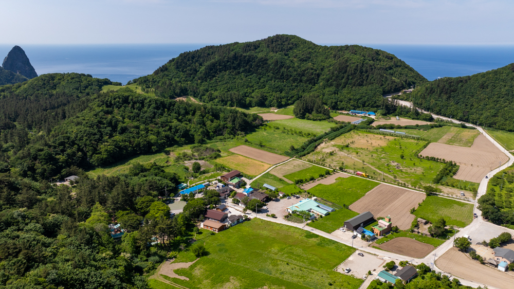 울릉도 전문인솔자.jpg