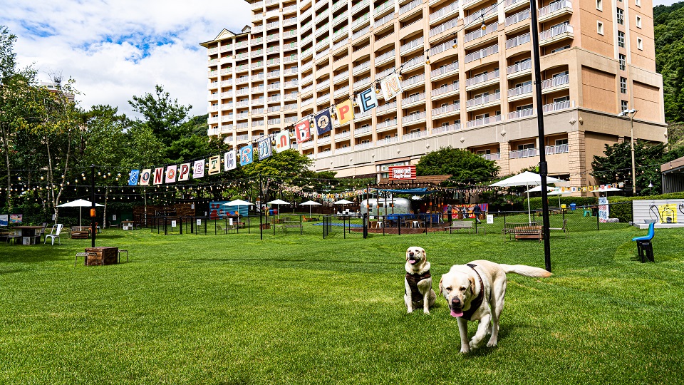 소노펫 비발디파크.jpg