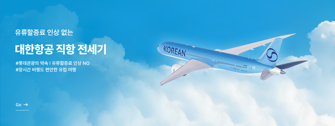 대한항공 직항 전세기 