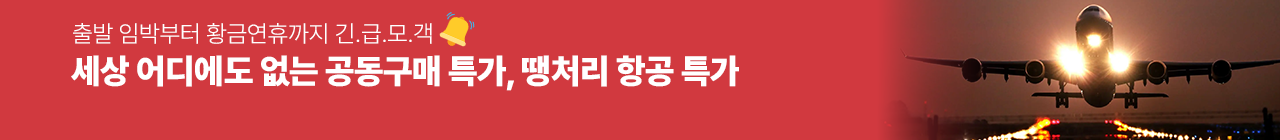 해외항공 땡처리 특가