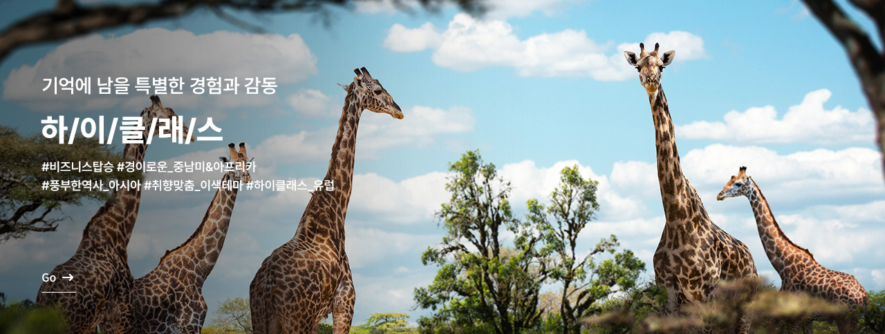 특별한 감동 하이클래스