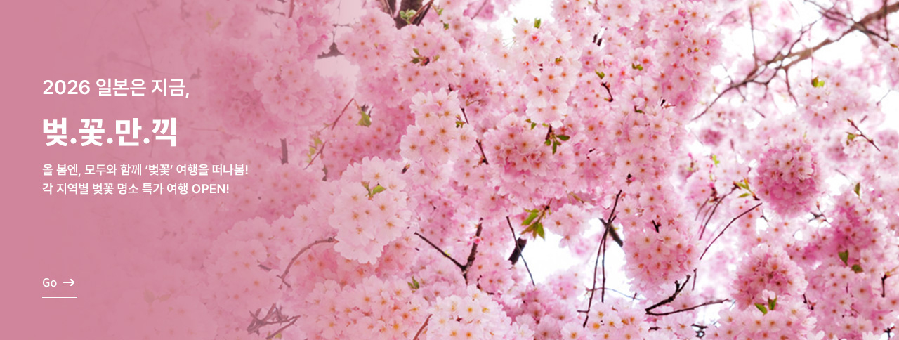 일본 벚.꽃.만.끽